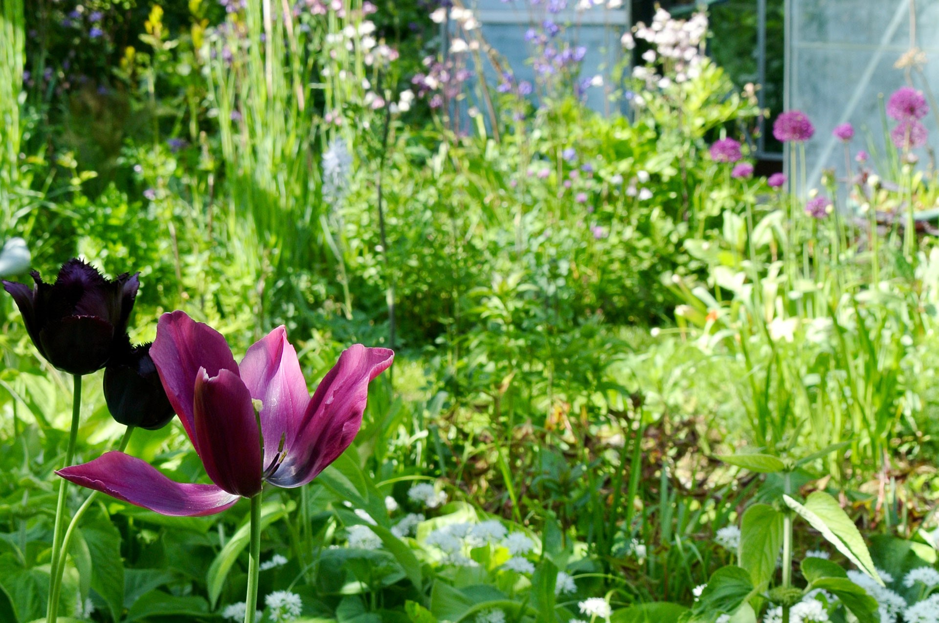 Natuurlijk tuinieren-lente-volkstuin©Marieke de Ge