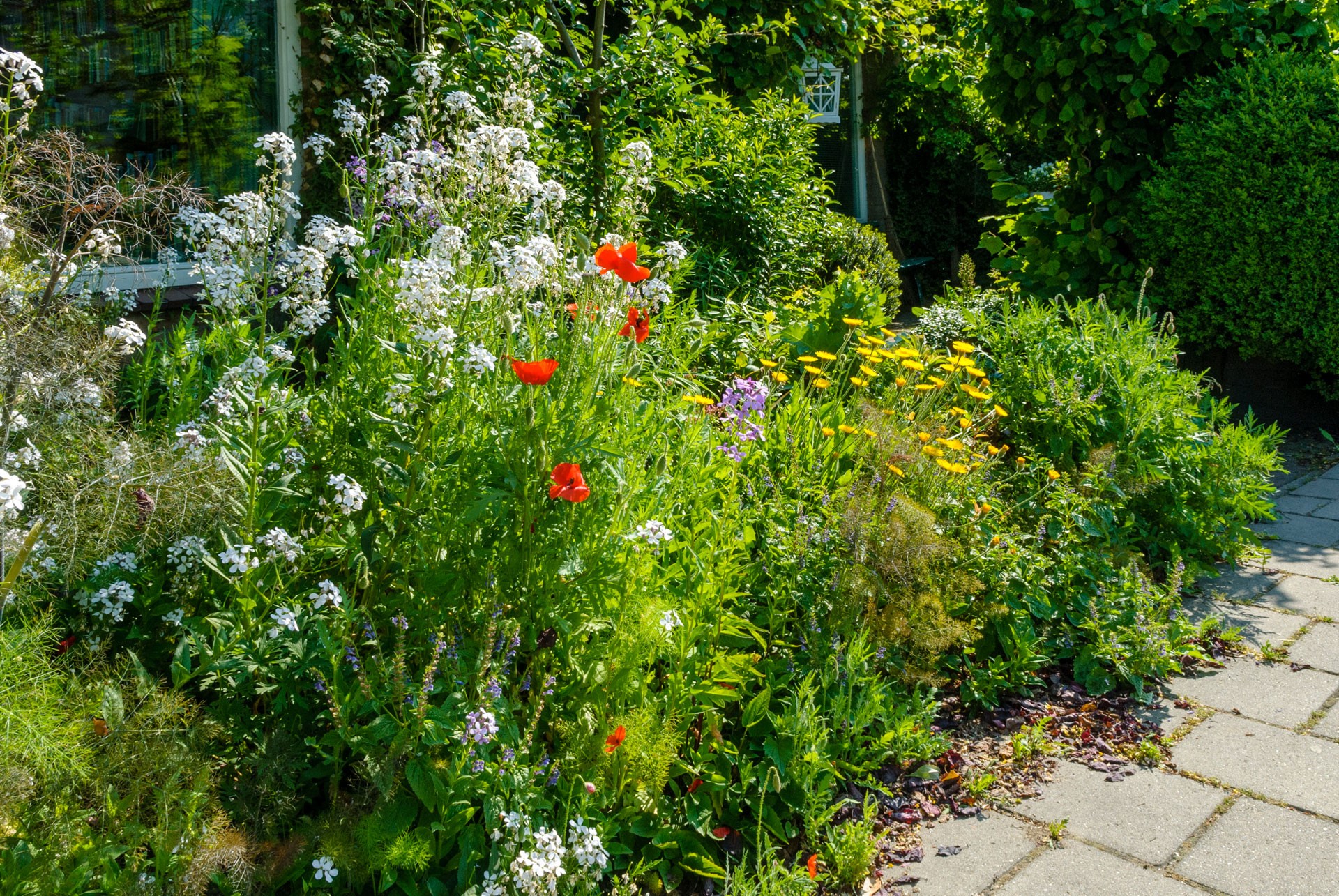 Natuurrijke-tuin-Kortenhoef-Kortenhoef-tuin-reiger