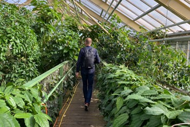 hortus botanicus leiden - Uittip - Paul van Bodeng