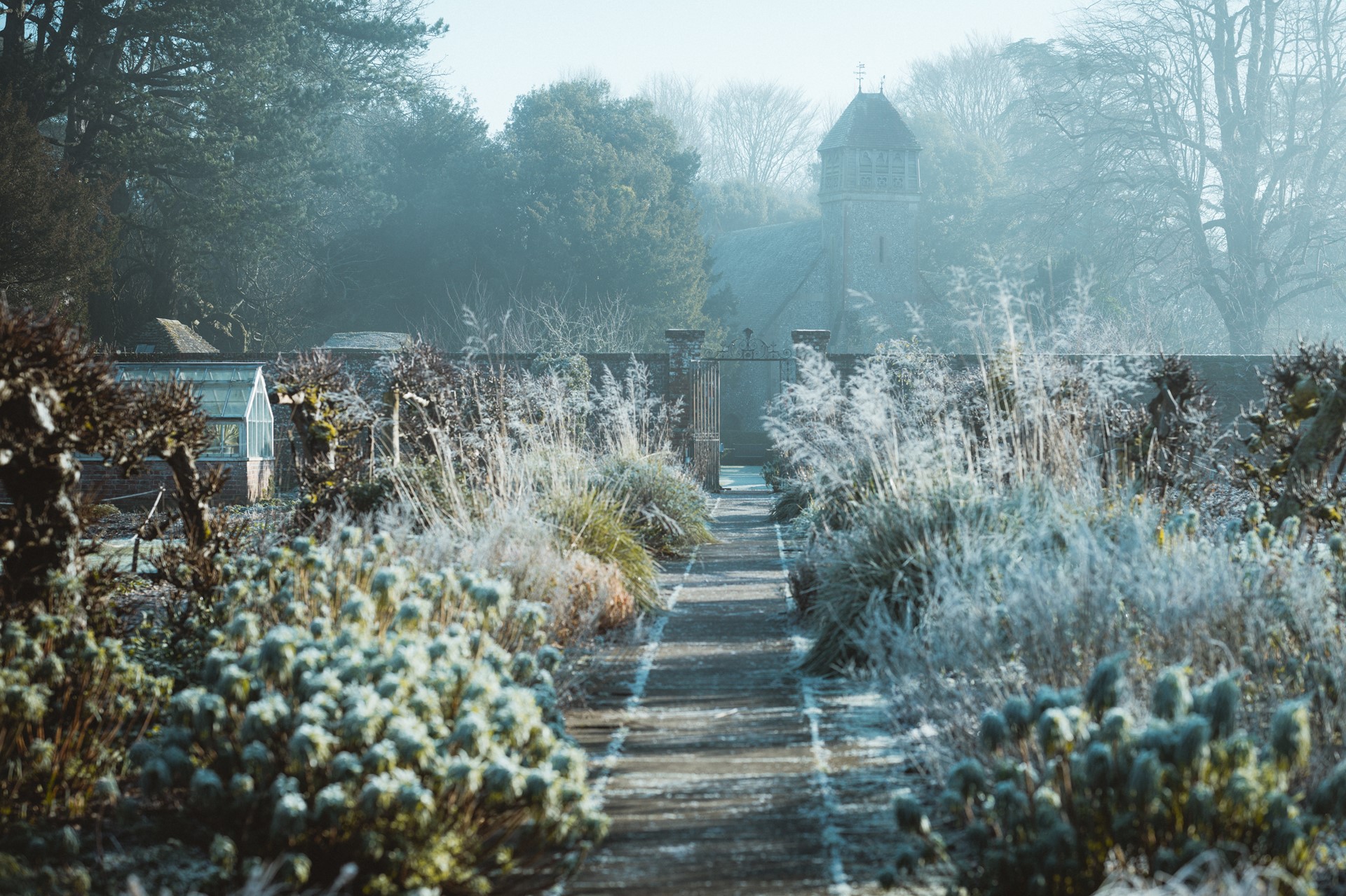 Annie Spratt tuin in de winter