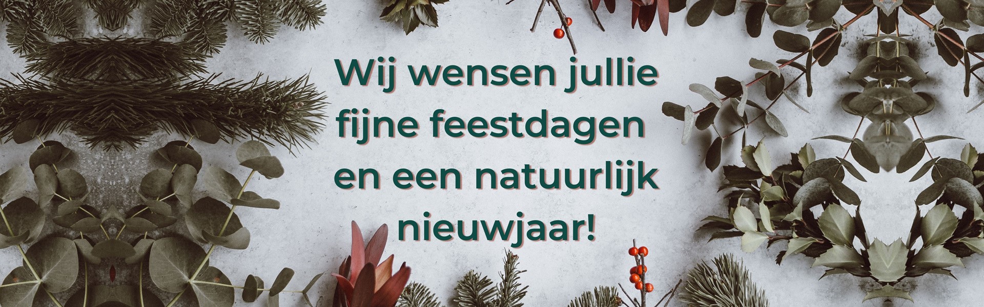 1920 x 600 banner nieuwsbrief fijne feestdagen takken