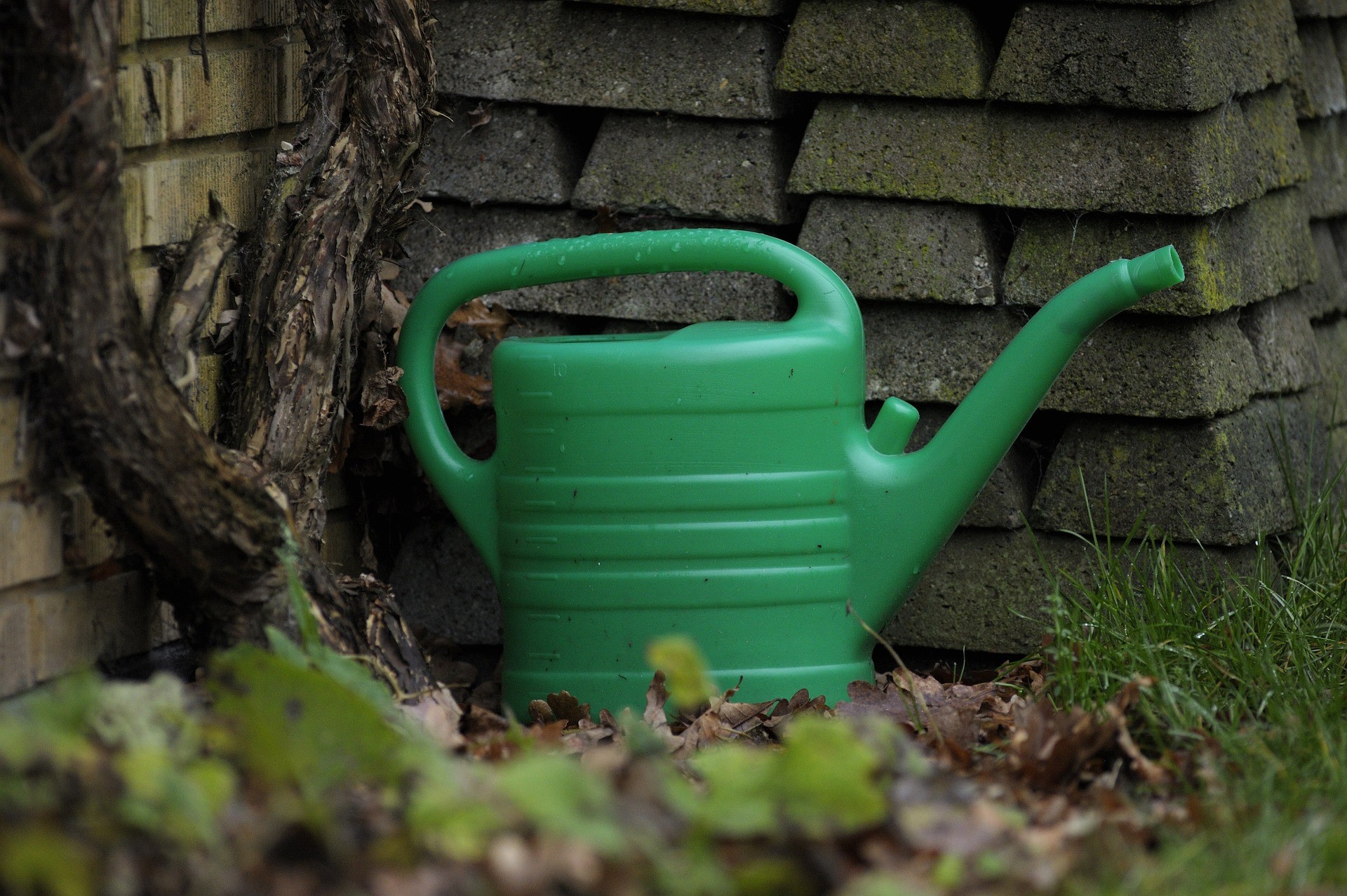 watering-can-g16dbb4b52_1920