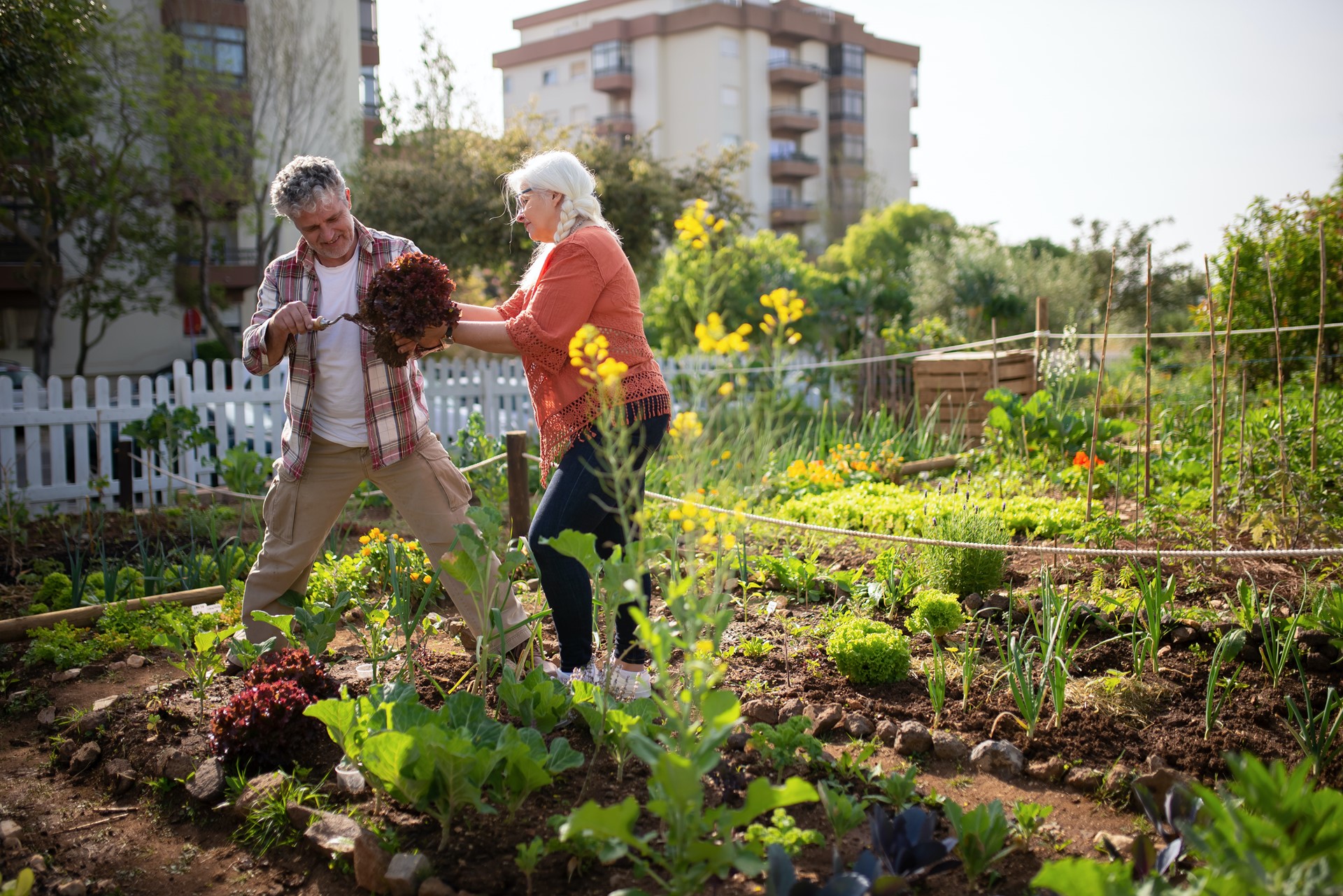 moestuinieren tips