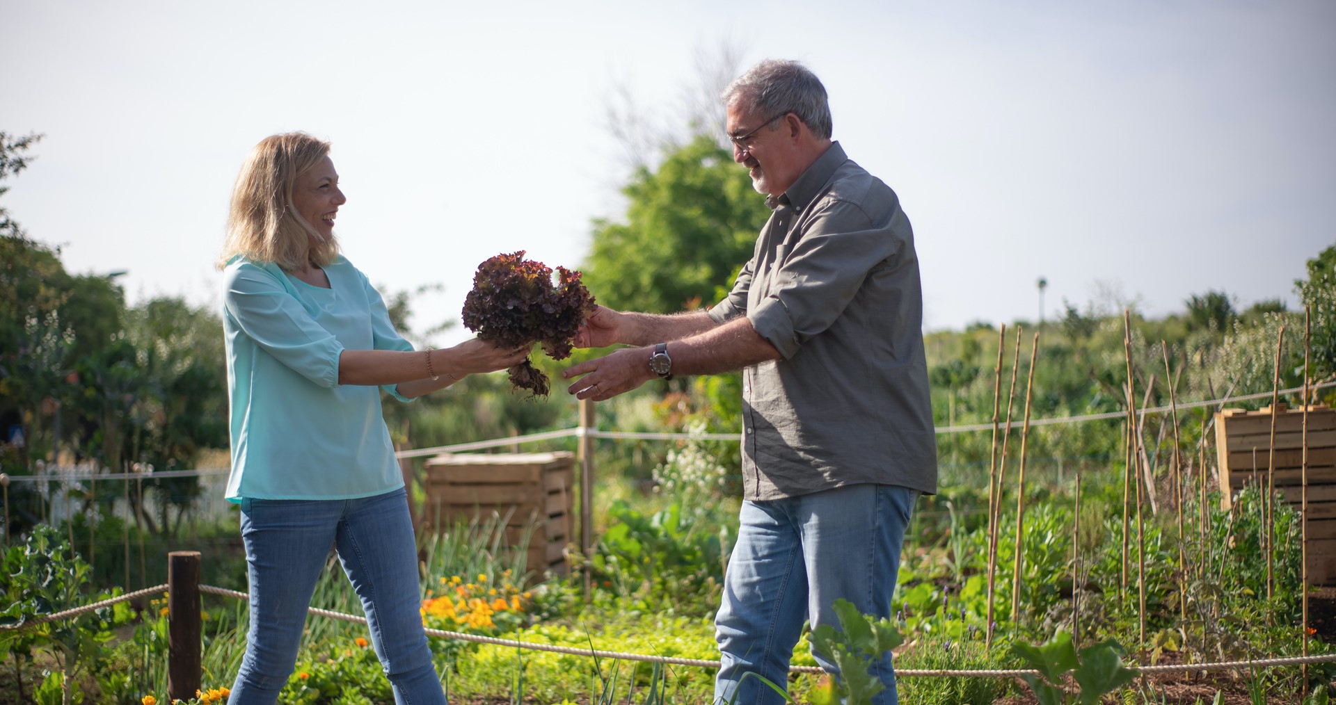 ledennet aanmeldformulier 