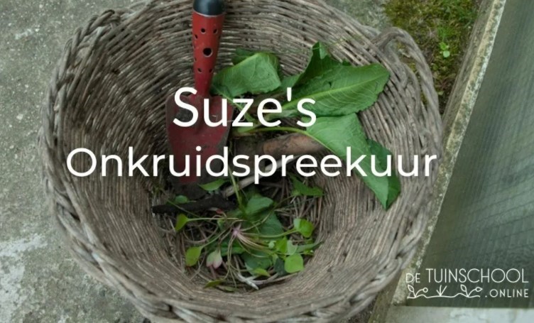 onkruidspreekuur Suze Peters