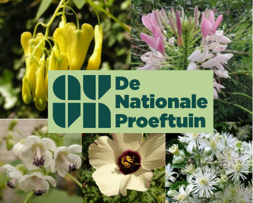 Zadenruil beurs de nationale proeftuin