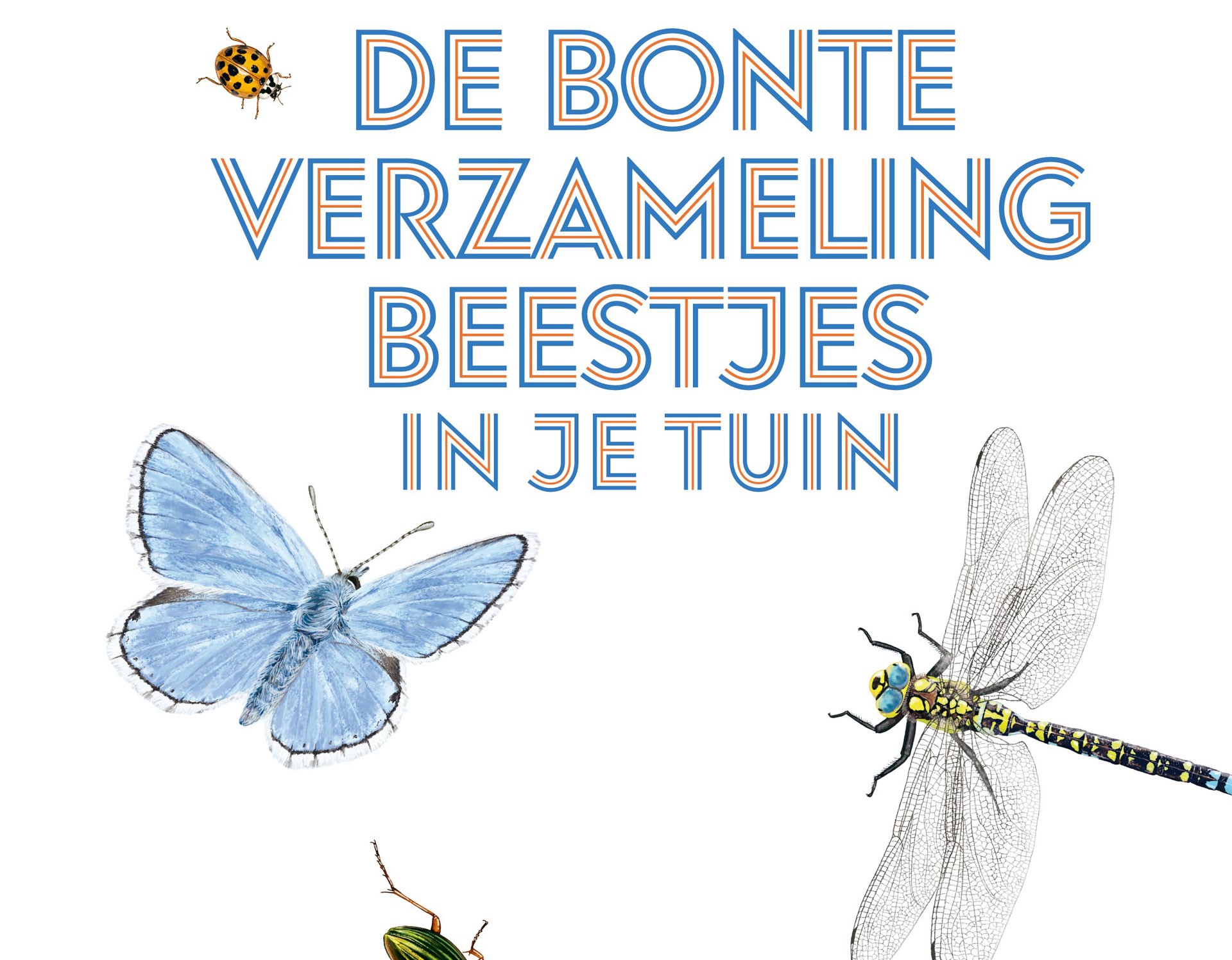 De-bonte-verzameling-beestjes-in-de-tuin-cover-hero