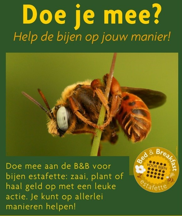 B&amp;B bijenstichting