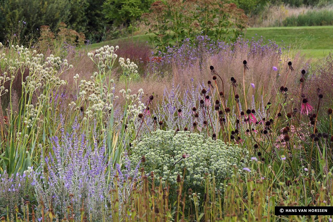 Vlindertuin