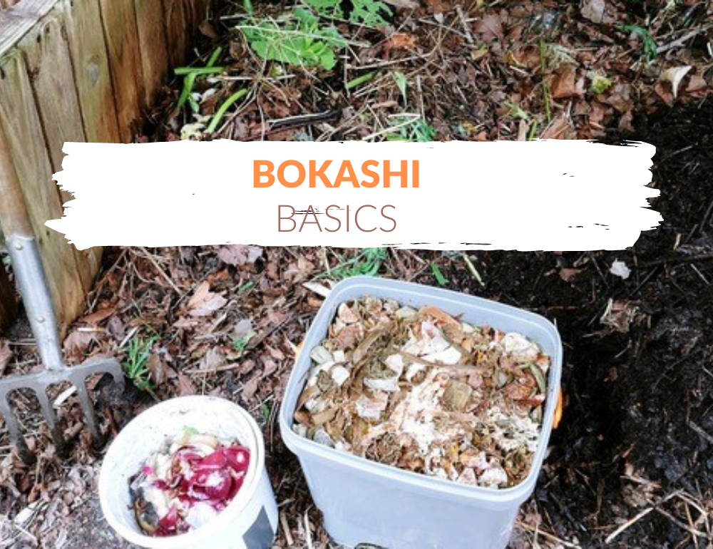 Bokashi basics online cursus De Tuinschool.online