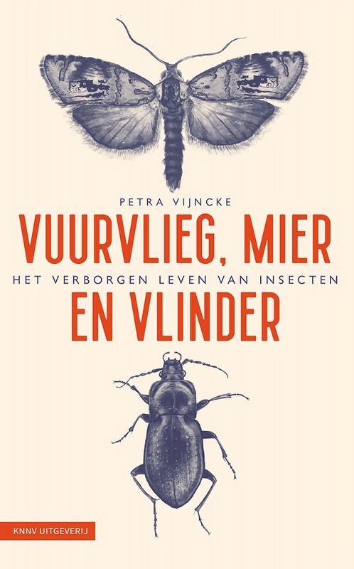 Vuurvlieg, mier en vlinder boekrecensie