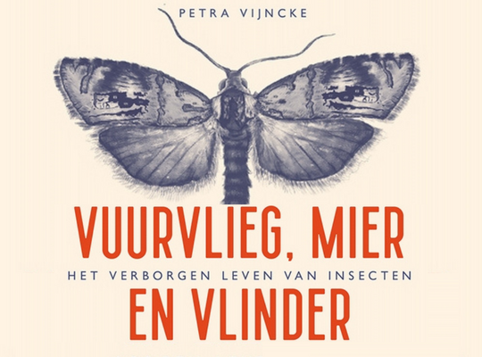 Vuurvlieg, mier en vlinder