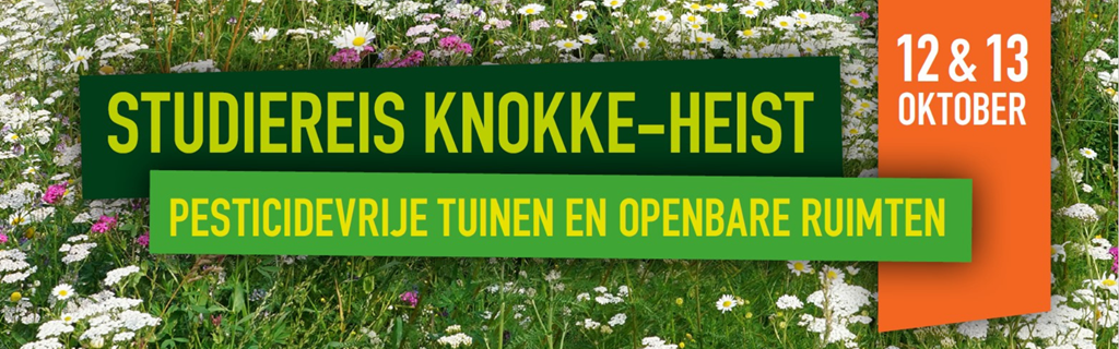 Studiereis Knokke Heist