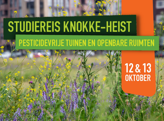 Studiereis Knokke-Heist