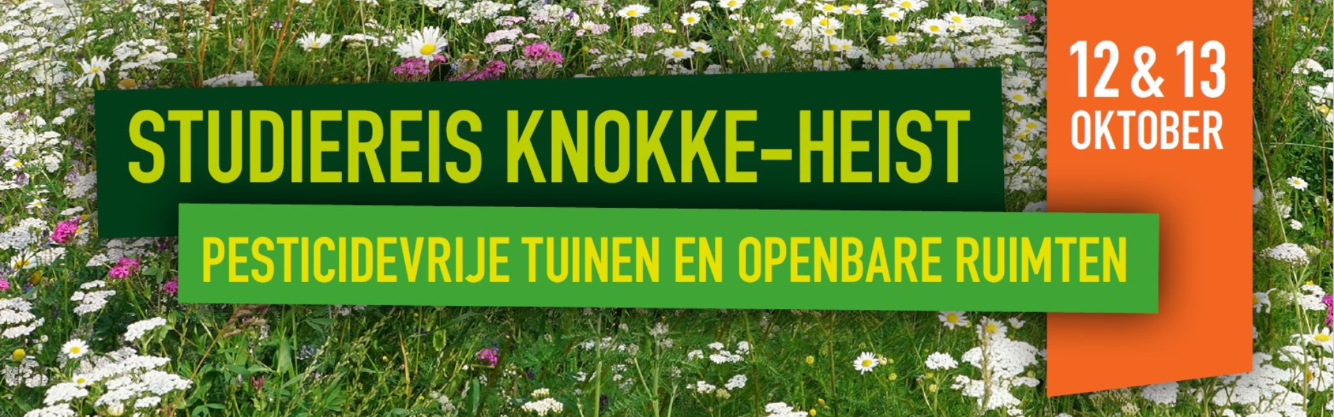 Studiereis Knokke-Heist