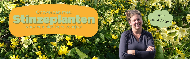 Stinzeplanten lezing