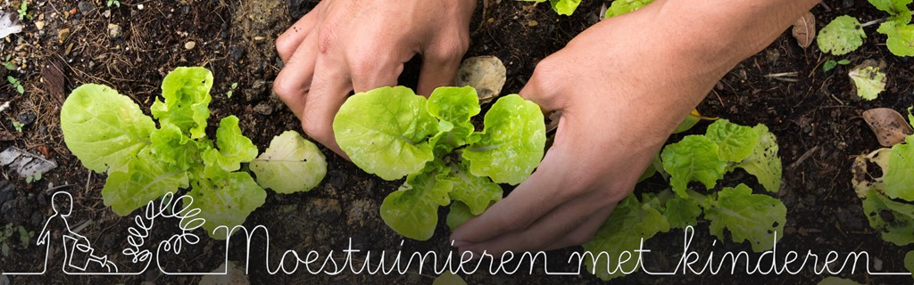 Moestuinieren met kinderen