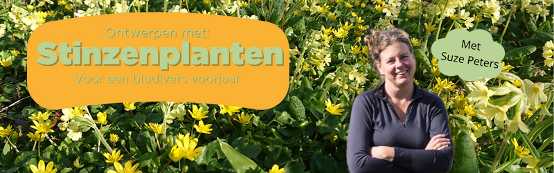 Stinzenplanten webinar