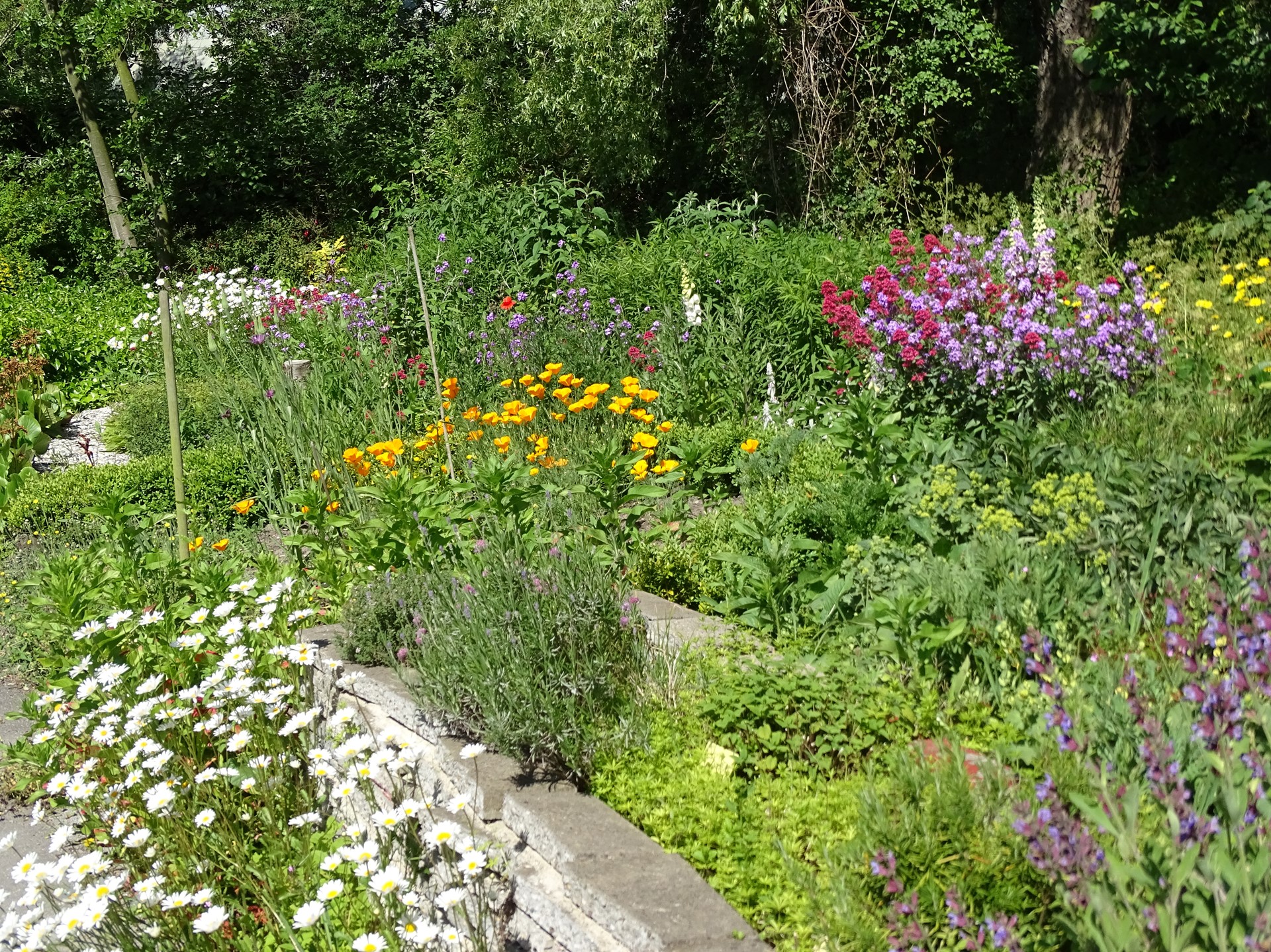 Kruiden geurentuin Zonnegaarde