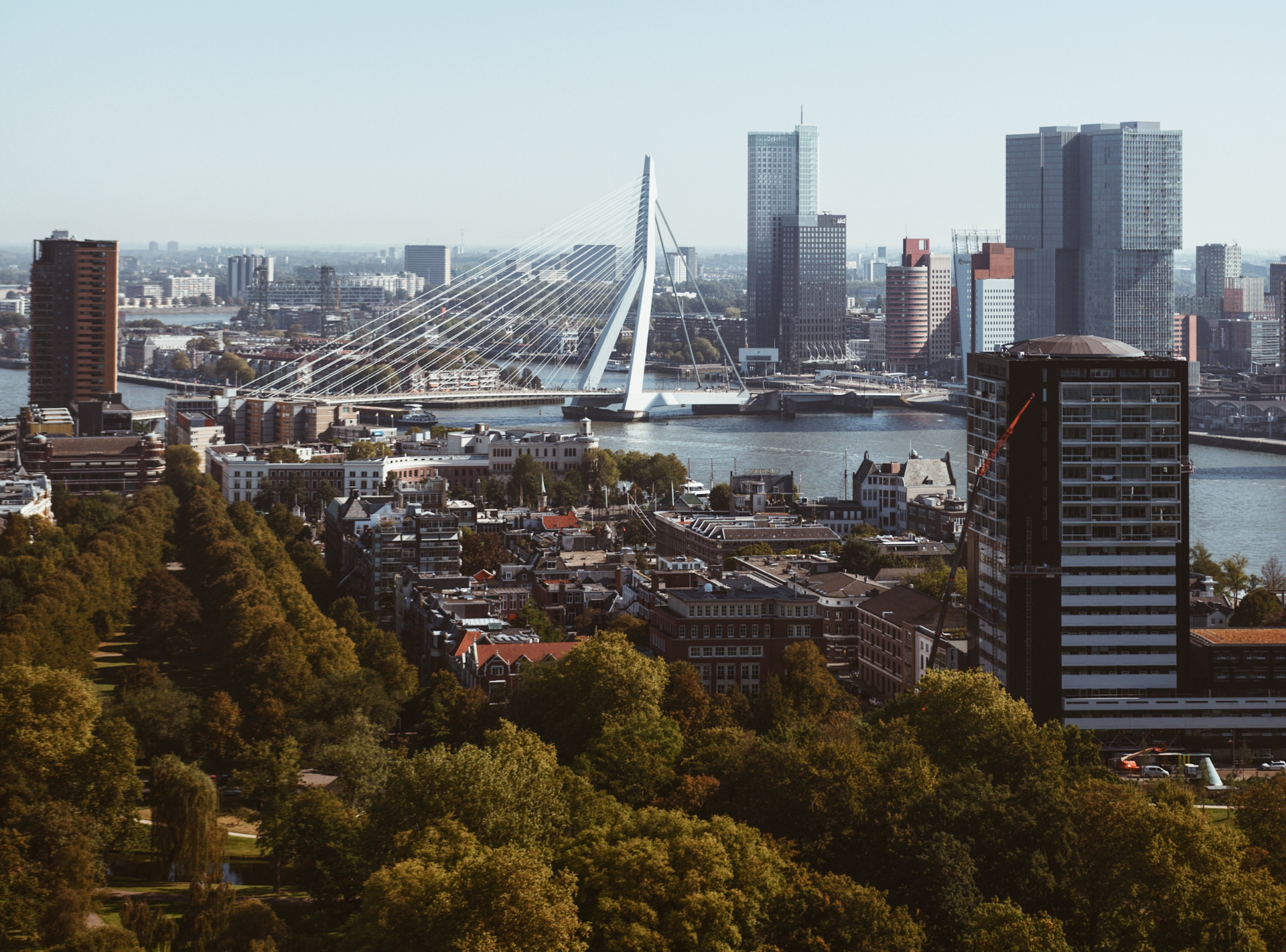 Toekomst volkstuinieren Rotterdam