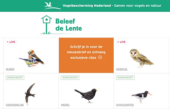 Beleef-de-lente-350