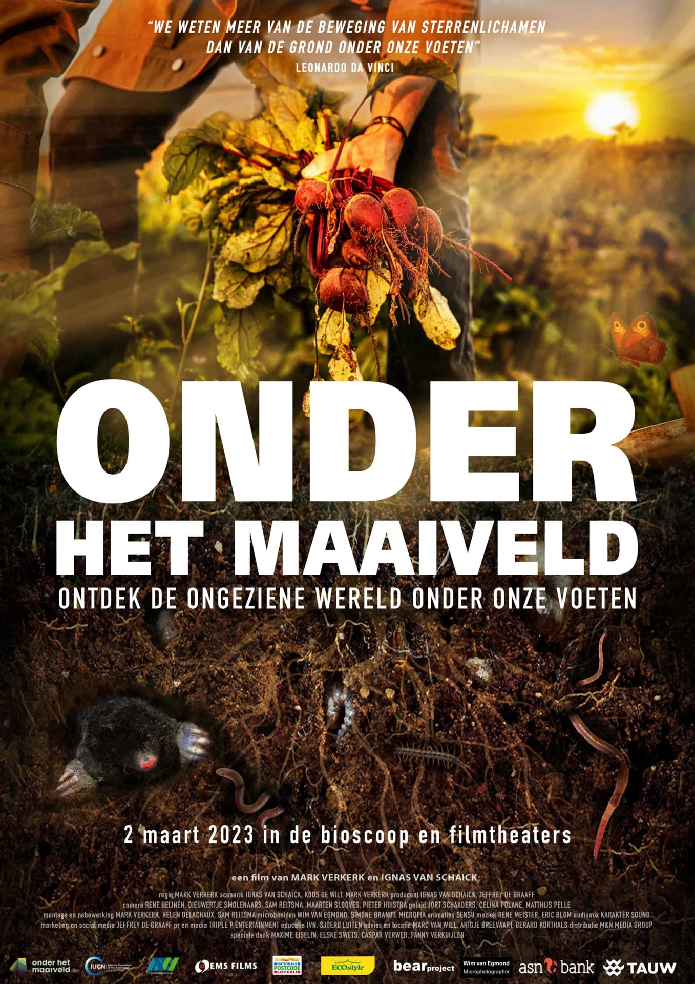 Film onder het maaiveld