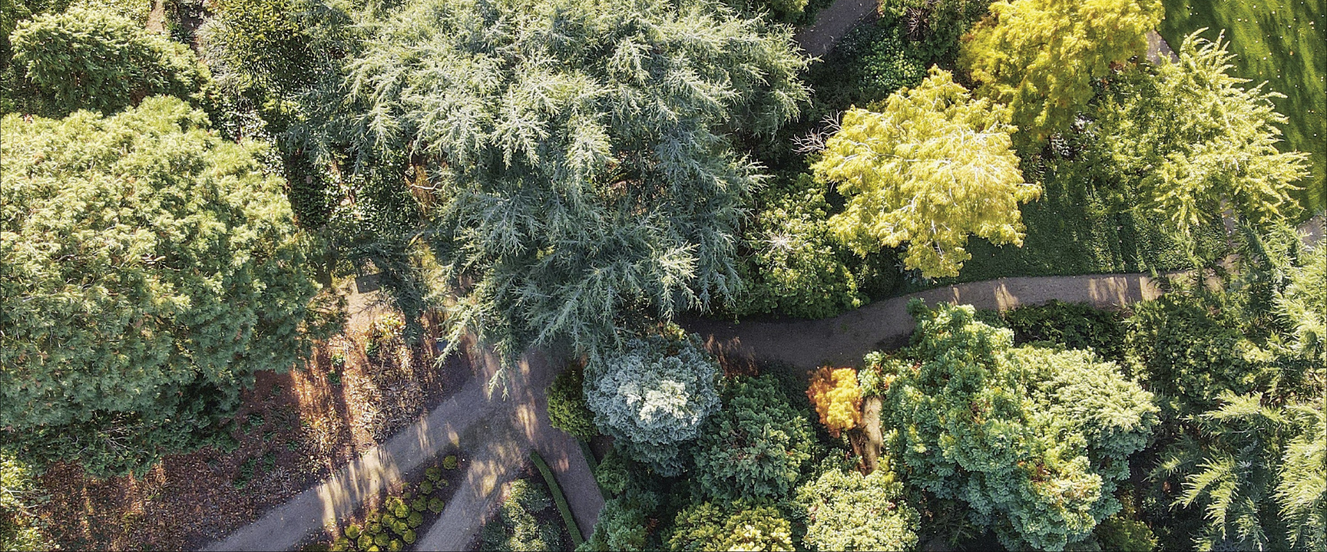 Gids voor Nederlands en Vlaamse Arboreta