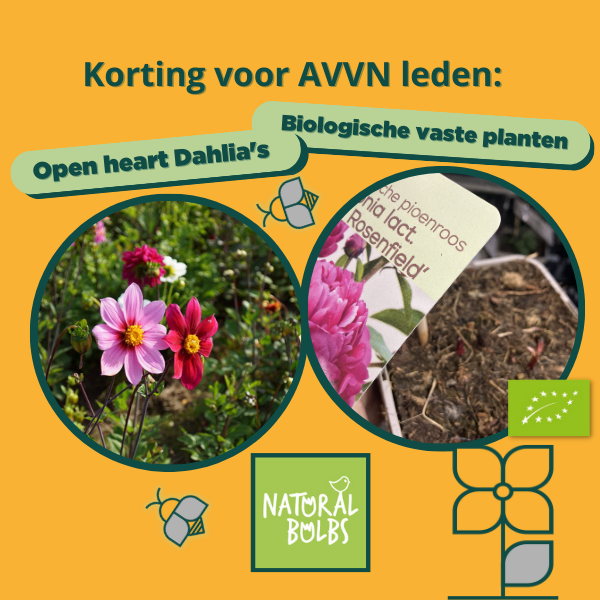 Kopie van Ontwerp zonder titel (Facebook-bericht (Liggend)) (600 x 600 px)