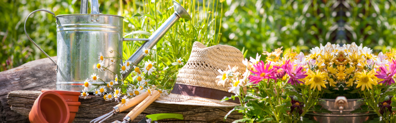 Lente klusjes in de tuin