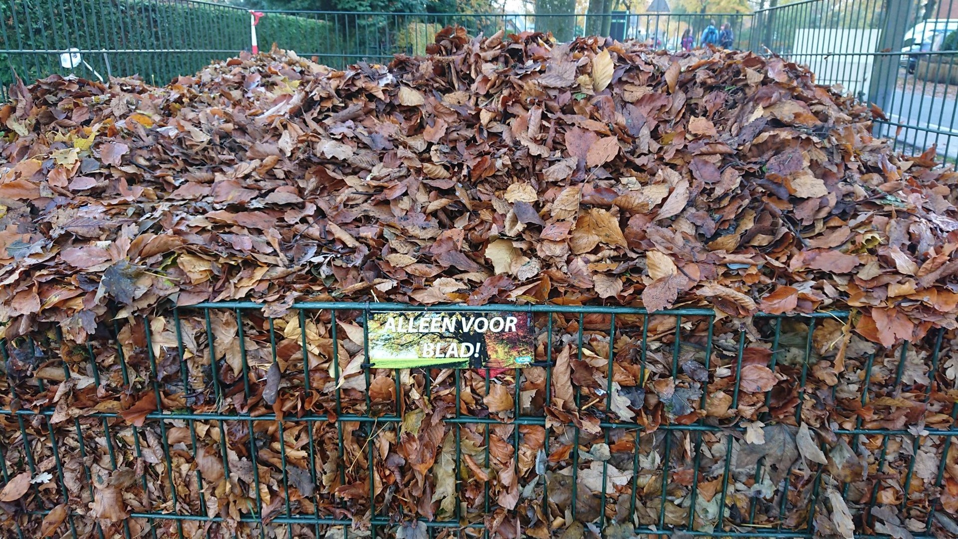 Bladcompost in ruif