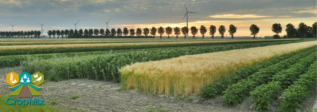 CropMix strokenteelt