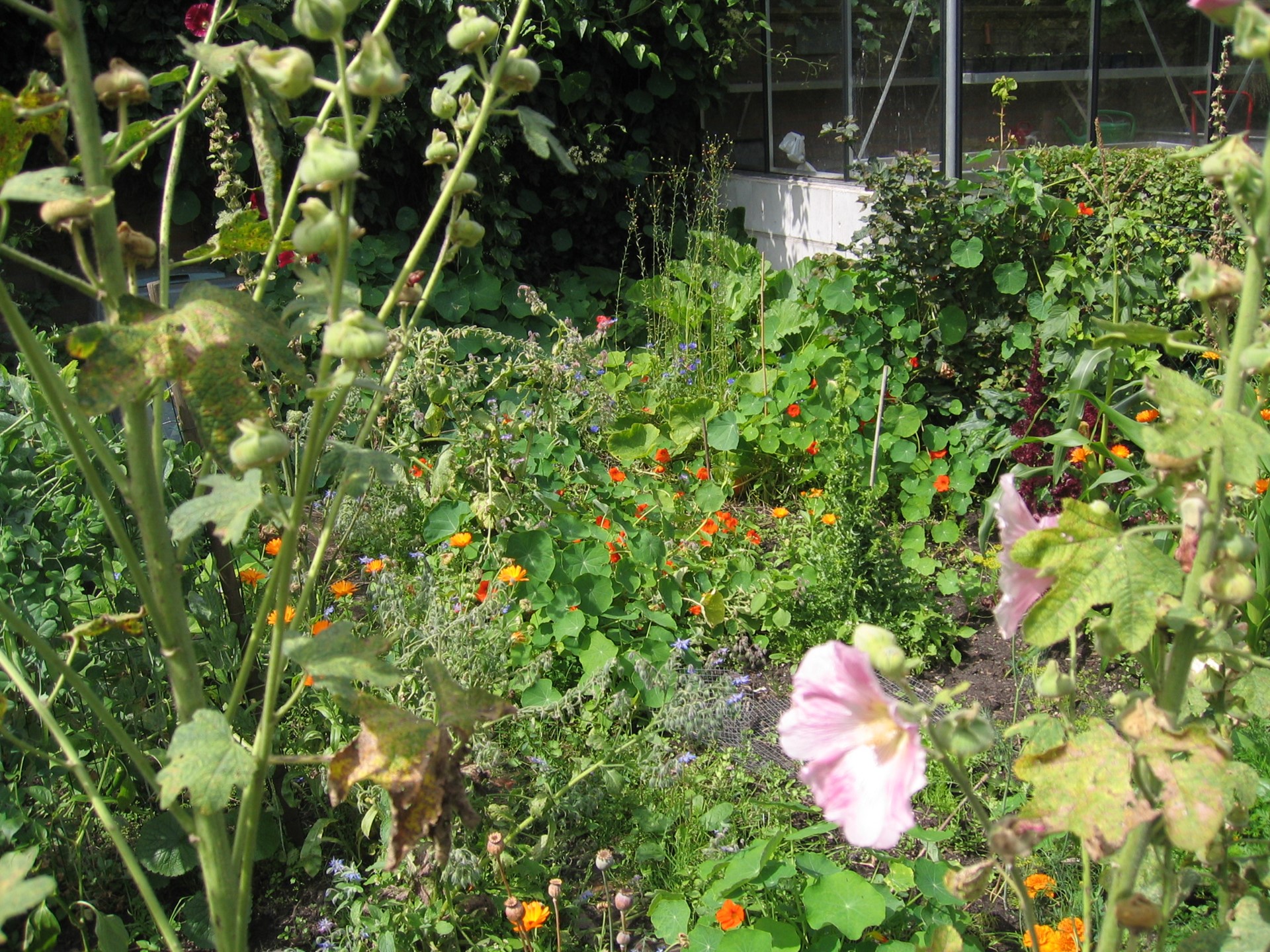 bloementuin bickershof (45)
