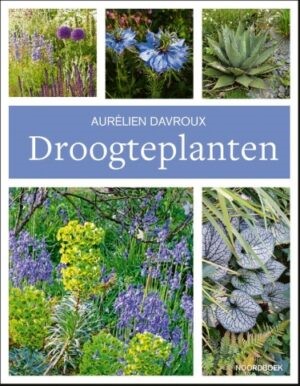 Droogte planten