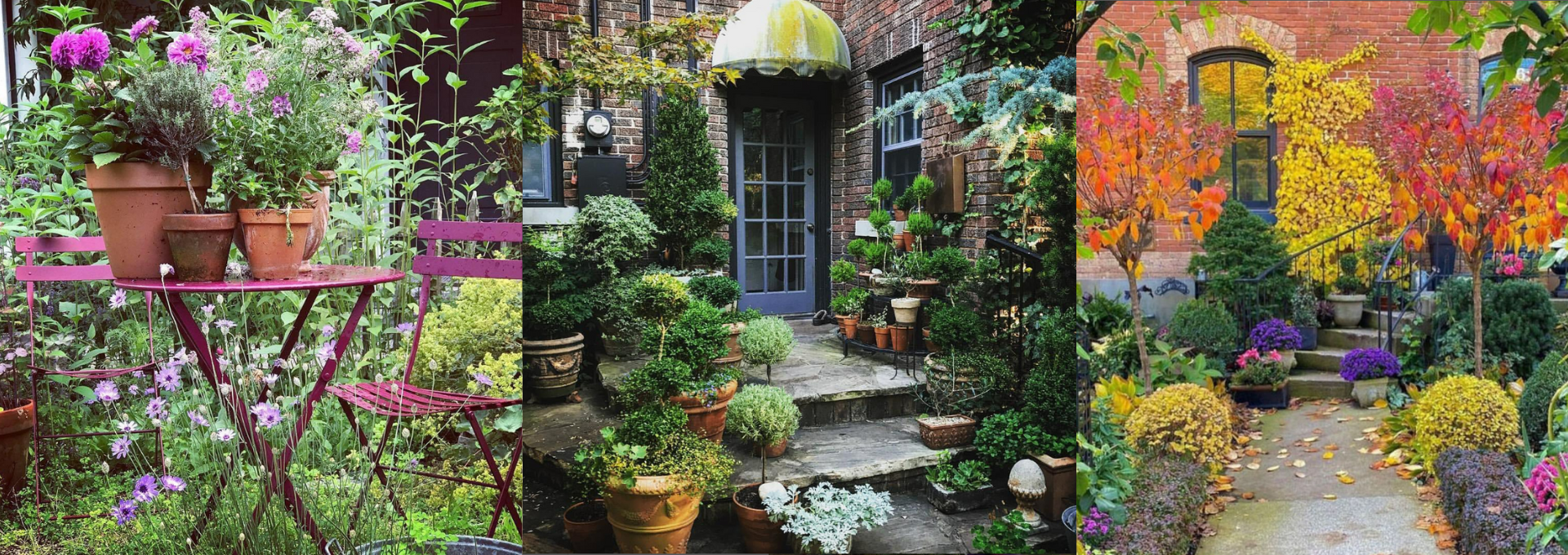 Small Magical Gardens insta