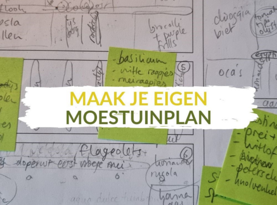 Moestuinplan tuinschool.online