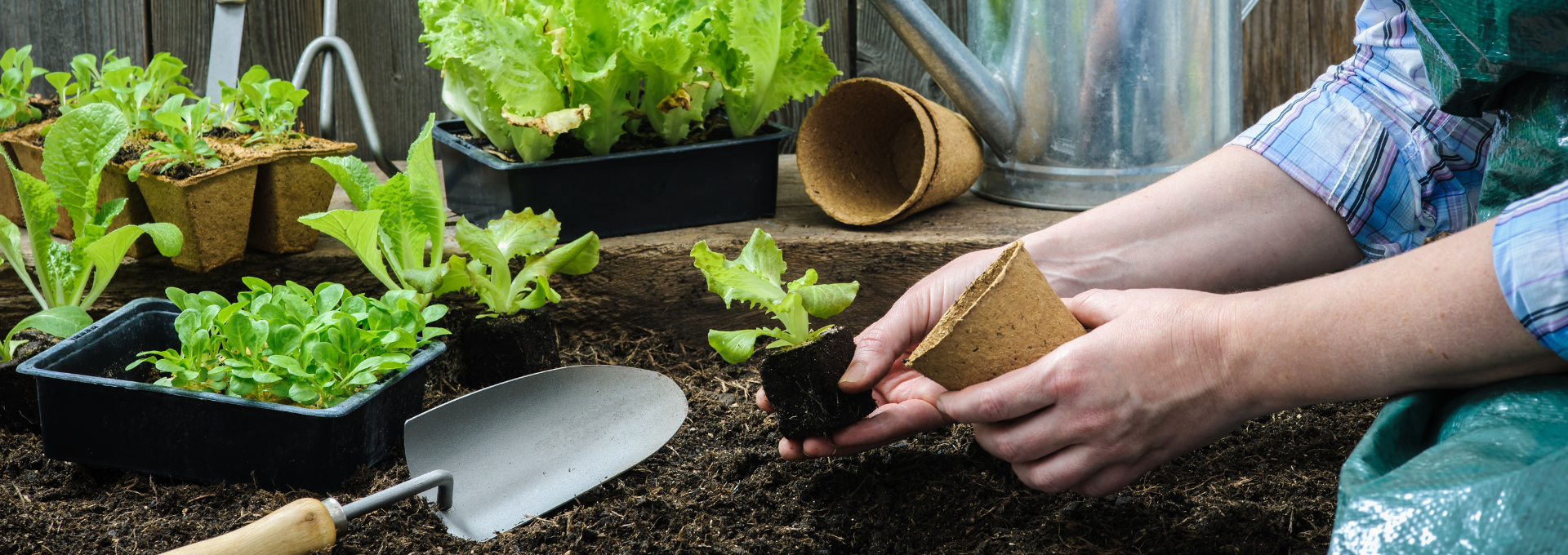 webinar gezonde plant in een gezonde bodem