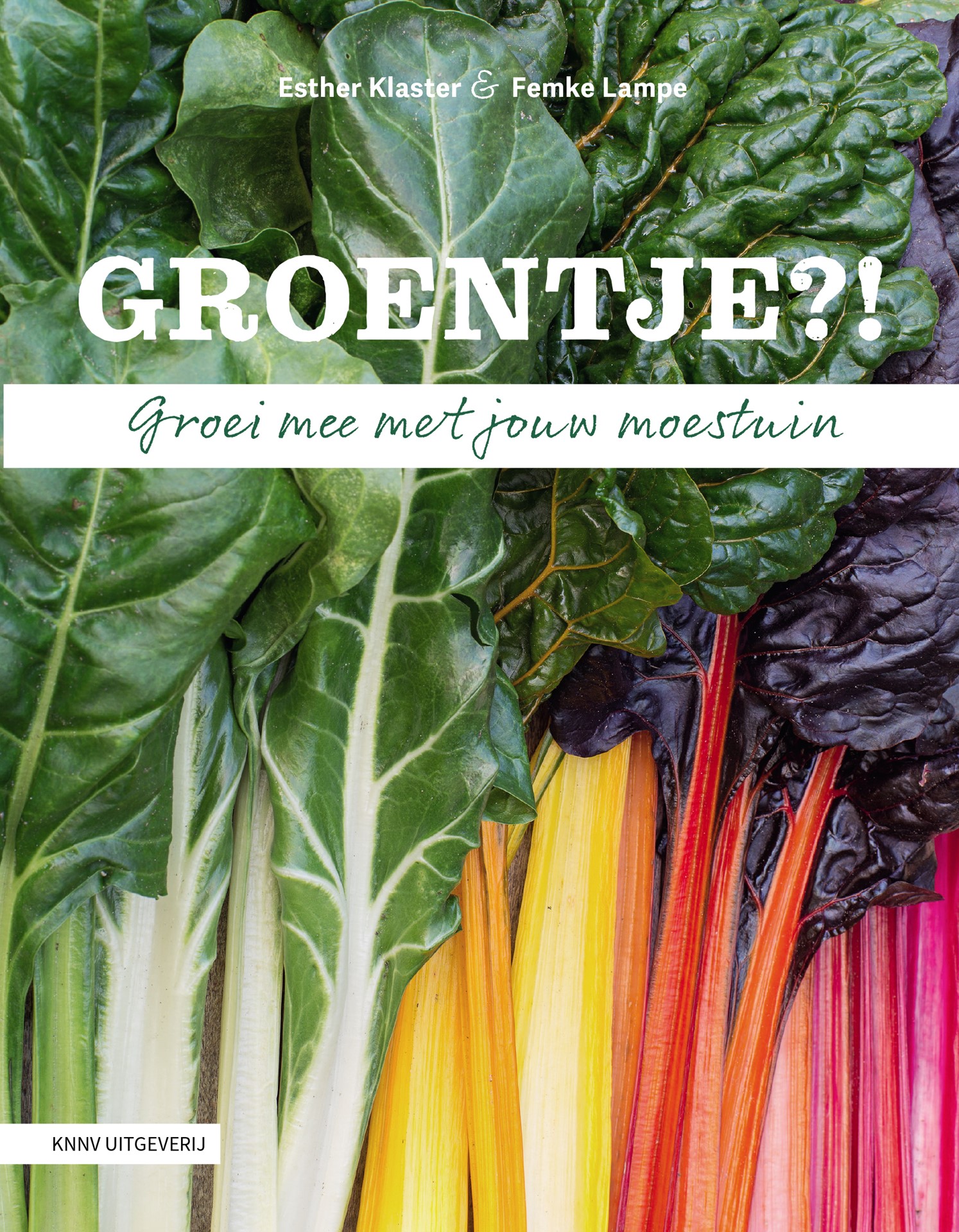 Groentje?! Groei mee met jouw moestuin