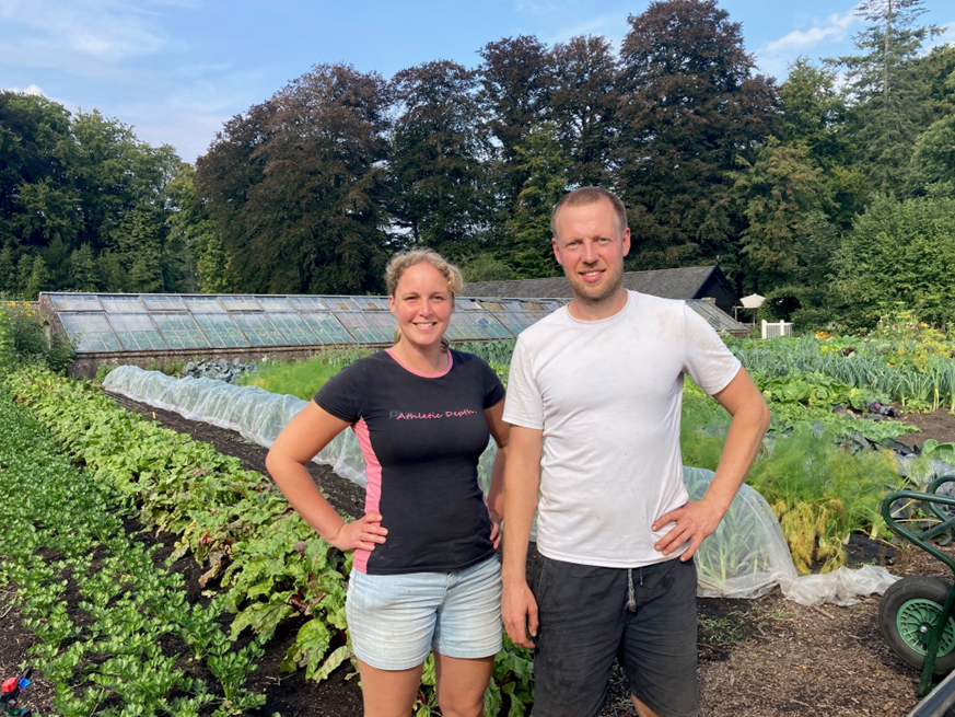 Moestuin landgoed vollenhoven