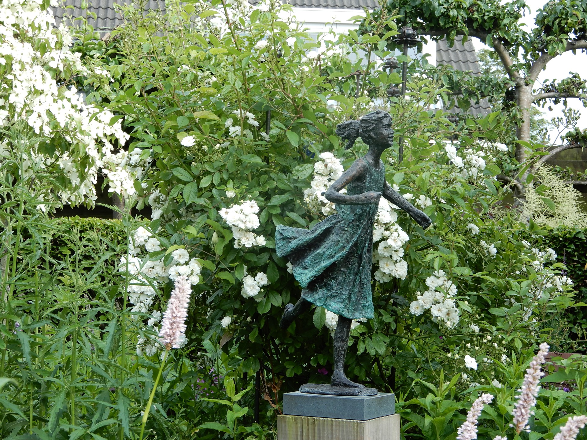 Top in de Kop 2025.JPG