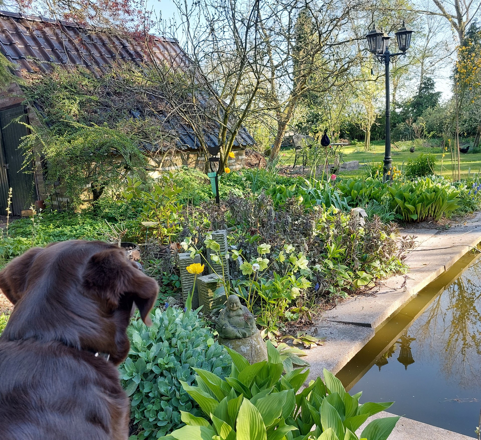 Eetbare siertuin1