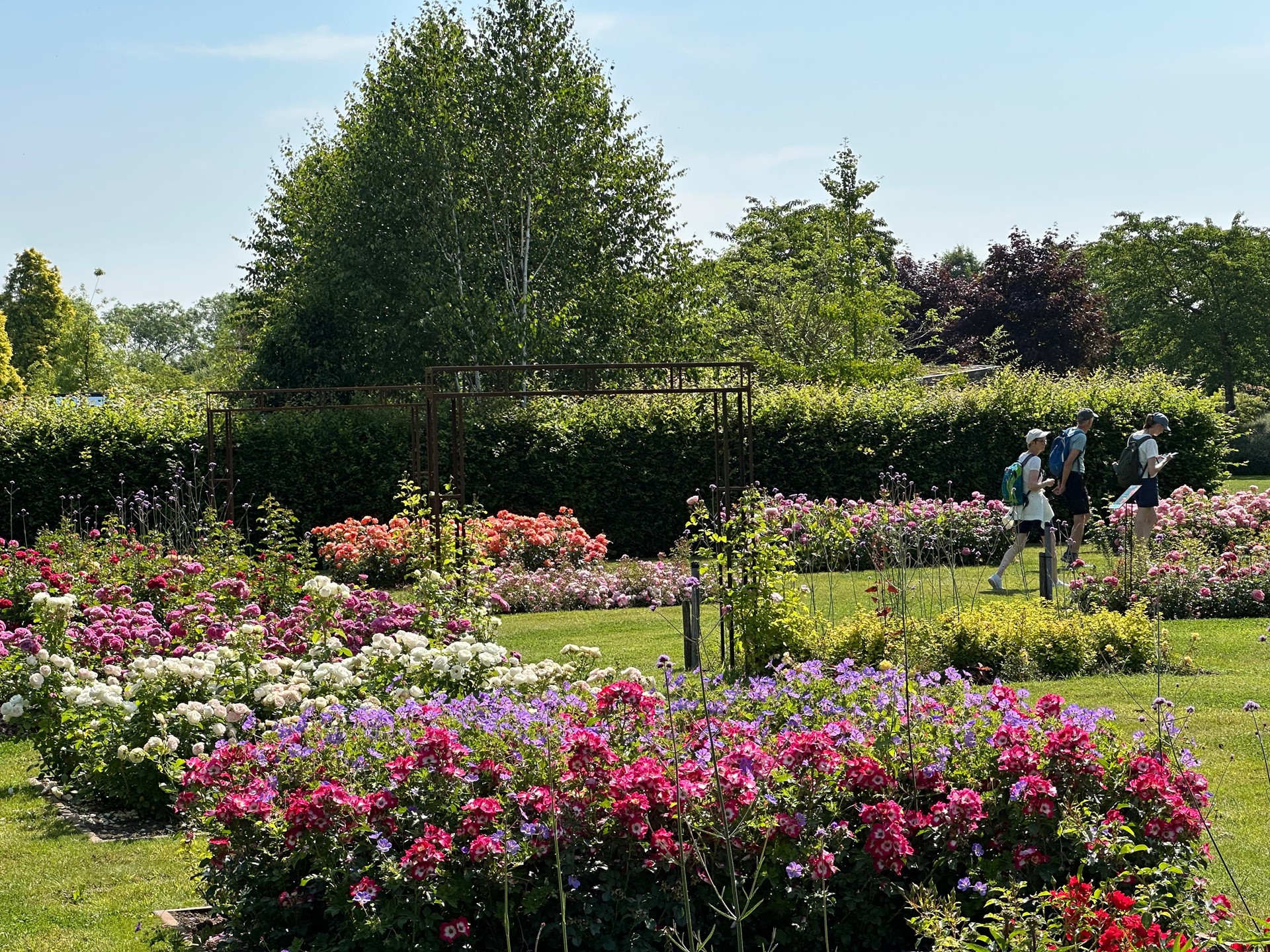 Appeltern Rosarium