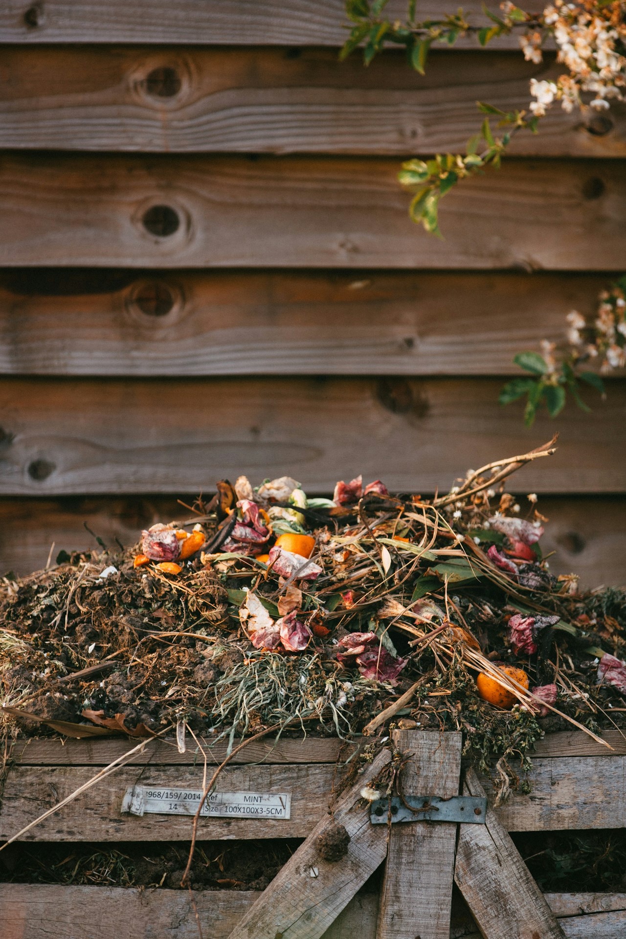 edward-howell-v7G32kVgM84-unsplash
