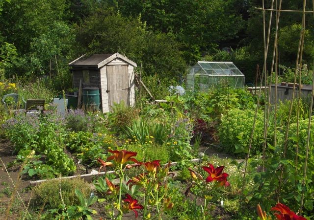 Volkstuinen hebben een stem nodig