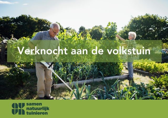 Afbeelding: mensen aan het werk op hun volkstuin