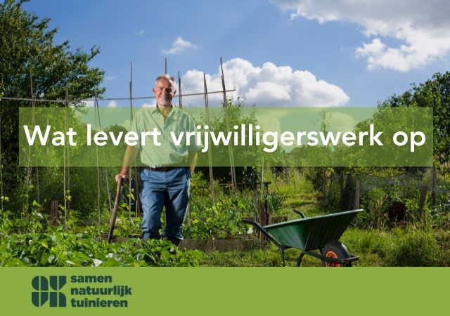 Wat levert vrijwilligerswerk op? 