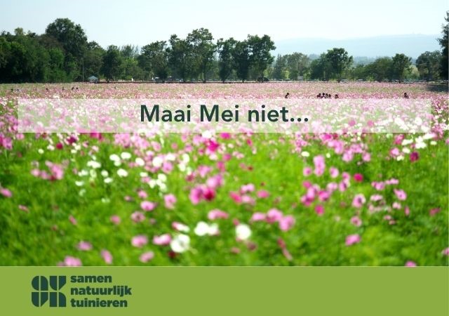 minder maaien in mei zorgt voor meer biodiversitei