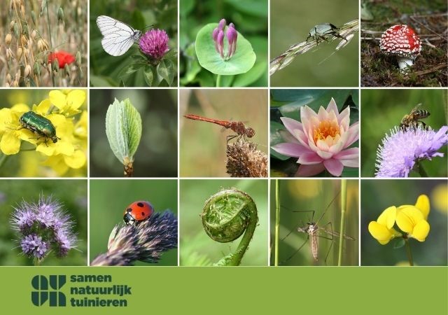 De internationale dag van de biodiversiteit