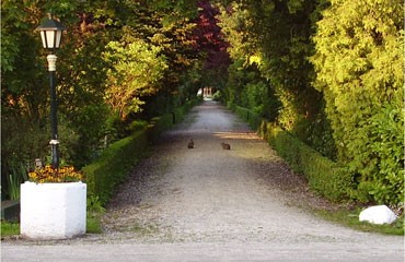 Buiten-gewoon-groen-geheel-©Leni-van-Noord-klein.jpg