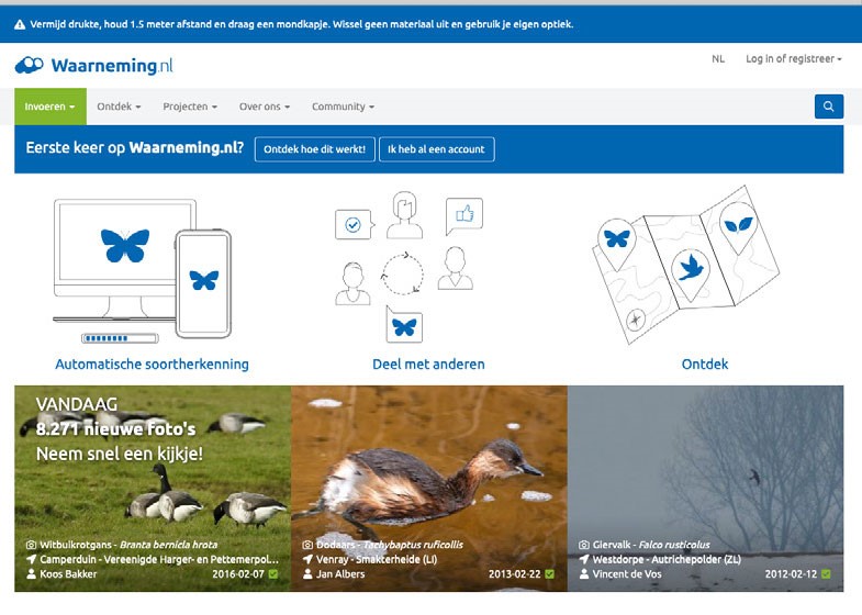 Waarneming-online-lezing.jpg