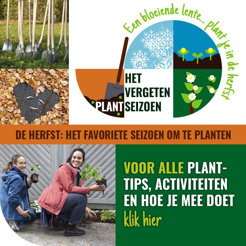 Web button voor site (statisch).jpg